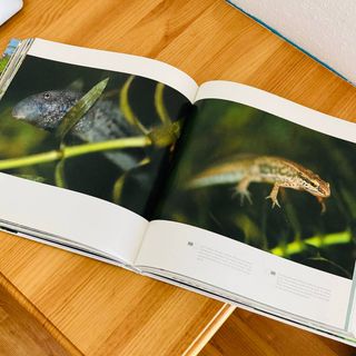 Precioso libro - Aragón, agua y futuro