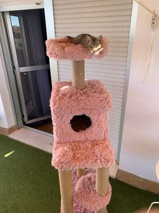 Rascador gatos