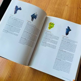 🌟El gran Llibre del Vi - Precioso libro