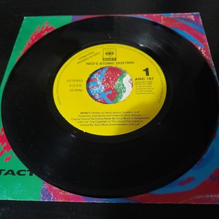 Ned's Atomic Dustbin – Intact vinilo 7"