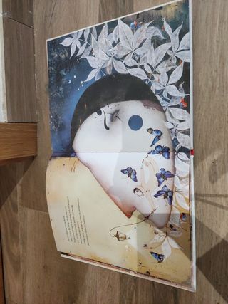 Libro Os lapis primos