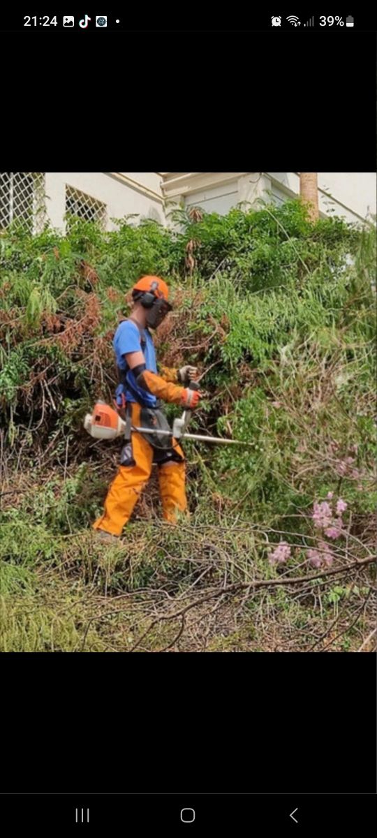 Limpiar parcelas y jardín