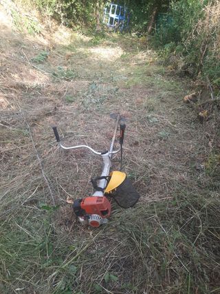 Limpiar parcelas y jardín