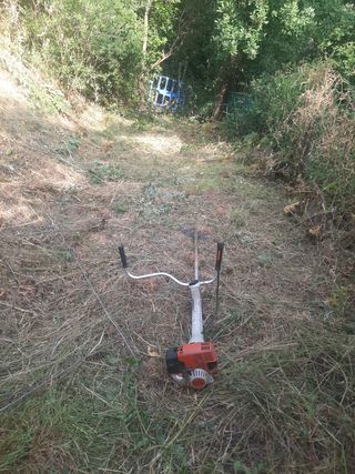 Limpiar parcelas y jardín