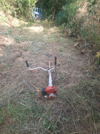 Limpiar parcelas y jardín