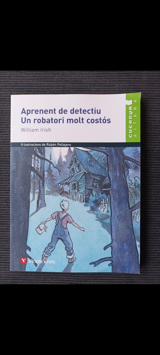 Aprenent de detectiu