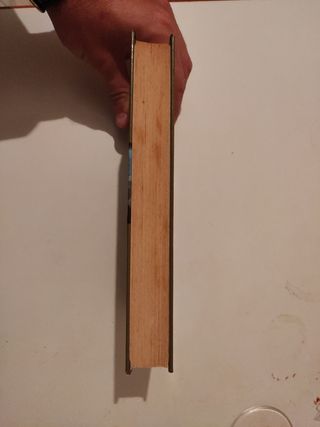 El valle de los leones