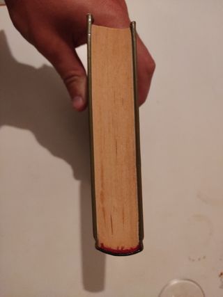 El valle de los leones