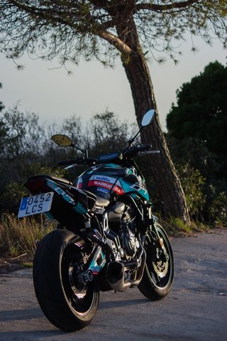 Yamaha MT 07 (A2) 2019