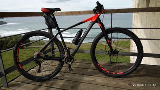 Bicicleta MTB de carbono.Talla L