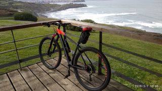 Bicicleta MTB de carbono.Talla L