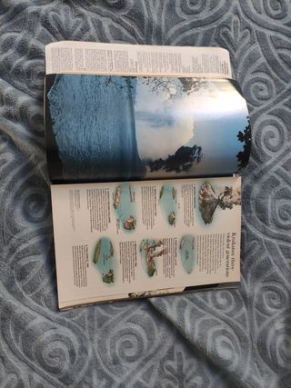 Revista original en inglés de national