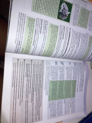 Libro de religión 1 de bachillerato, edebé