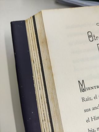 Libro infantil Nicolás San Norte