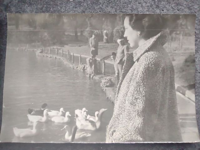 BONITO LOTE DE FOTOGRAFÍAS ANTIGUAS