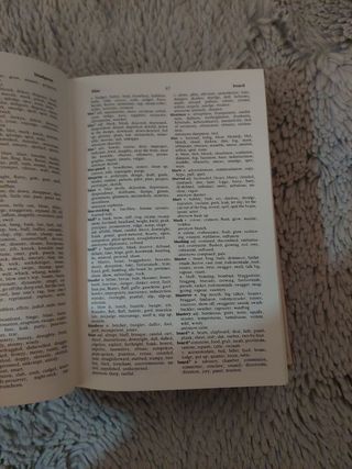 Diccionario inglés- English dictionary