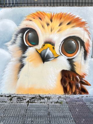 Pintor, murales artisticos, grafitti