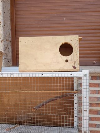 Jaula de pájaros periquitos agapornis