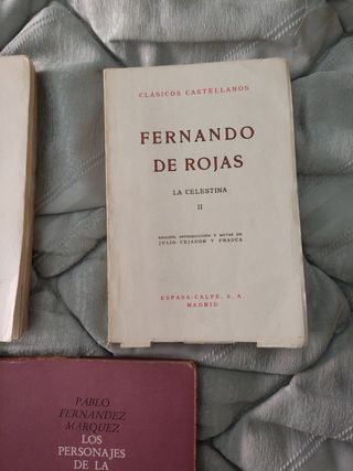 Lote de 3 libros literatura española clasica