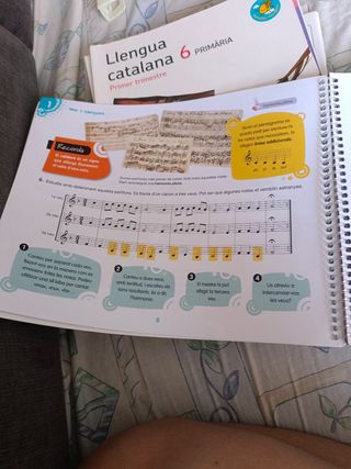 Libro de música 6°
