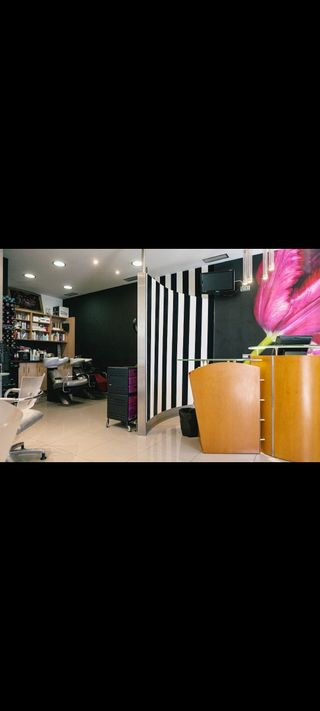 Oficina - Local en venta en sanguesa (navarra)