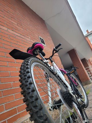 Bicicleta juvenil