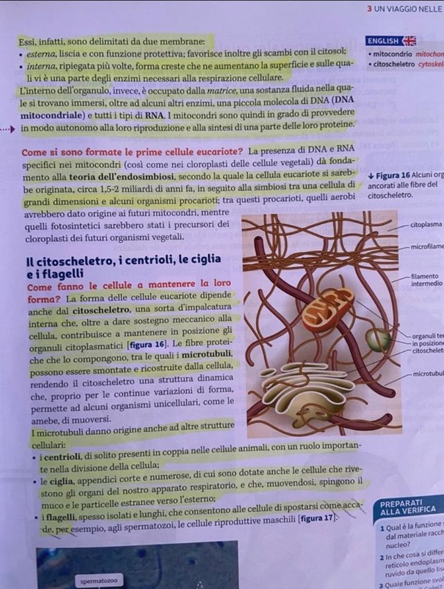 BioLogica - Capire le scienze della vita