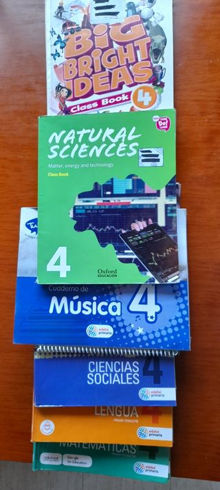 Lote libros 4⁰ Primaria