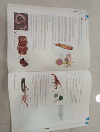 Biologia y Geologia 1 Bachillerato, Ed.Edelvives.