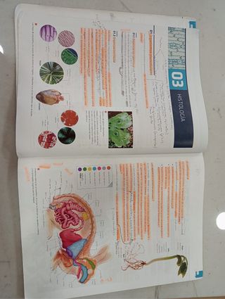 Biologia y Geologia 1 Bachillerato, Ed.Edelvives.