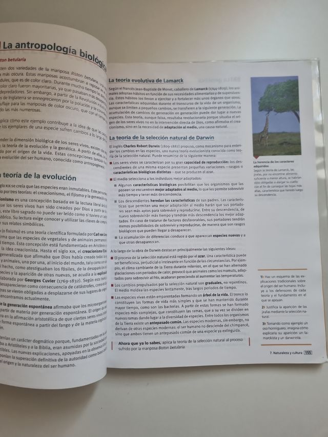 Filosofía 1°Bachillerato