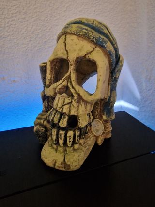 ACUARIO COMPLETO EN USO