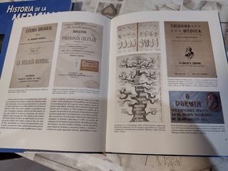 Historia de la medicina valenciana