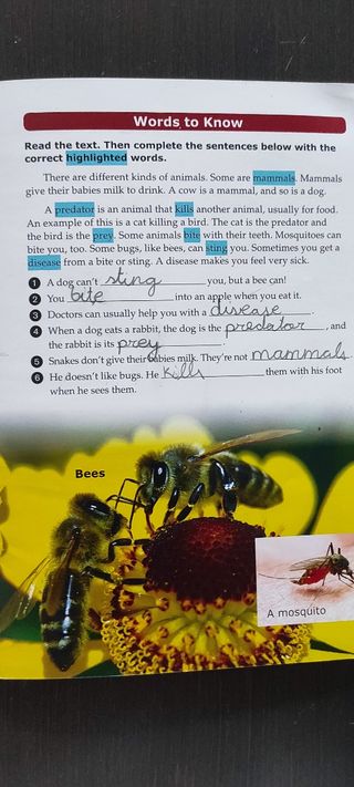 LIBRO DE TEXTO INGLES