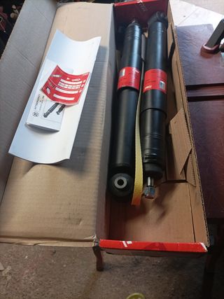 Recambio suspensión