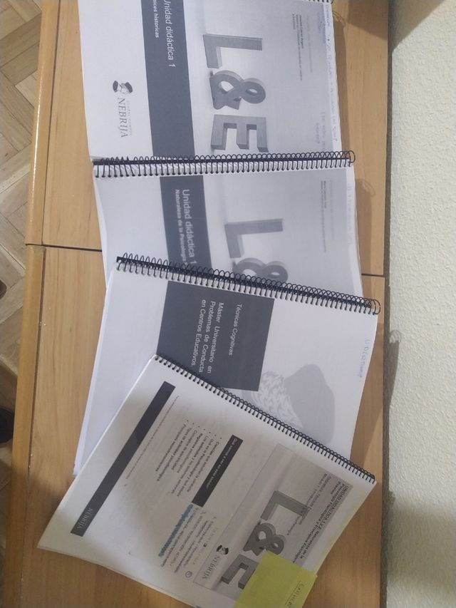 Máster Problemas de conducta