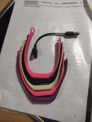 Lote pulseras Xiaomi y cargador