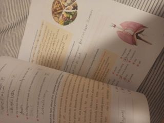 Libro de ejercicios ciencias naturales 6 primaria