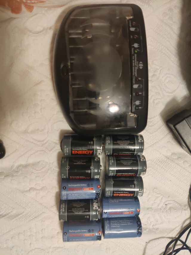 cargador pilas y 10 pilas recargables hr20