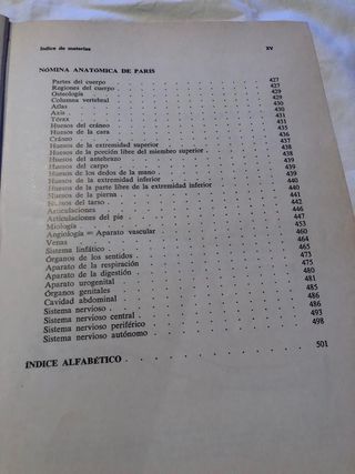 Síntesis de anatomía humana