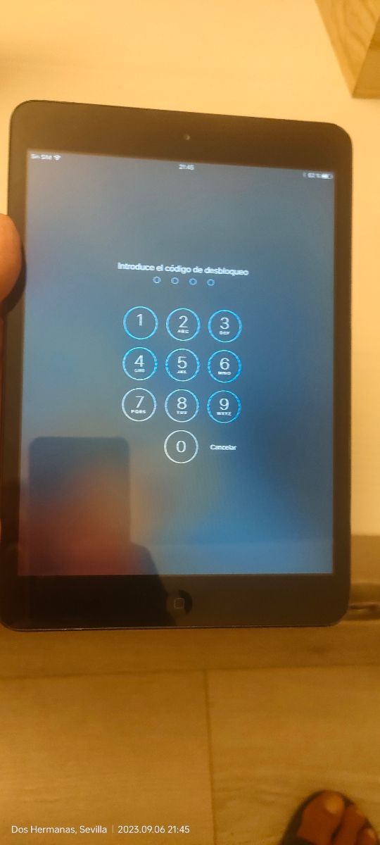 iPad mini Wi-Fi Celular 16Gb