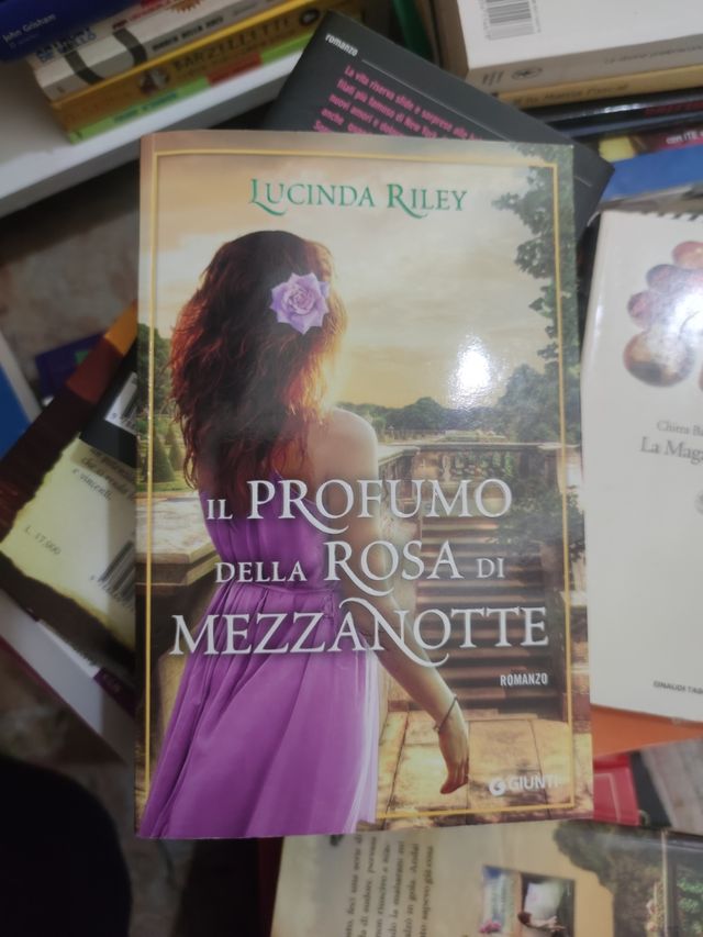 Il profumo della Rosa di mezzanotte-