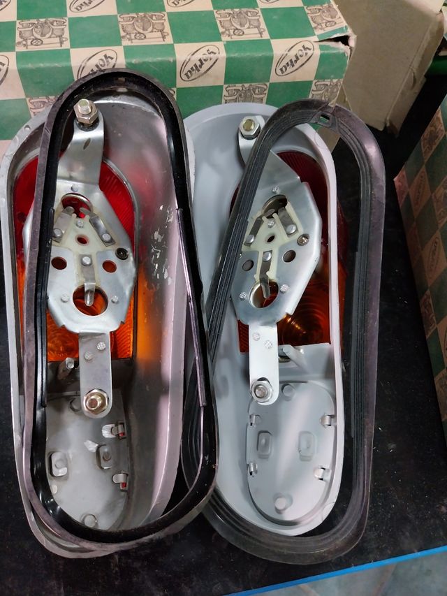 Intermitentes tulipanes carcasas