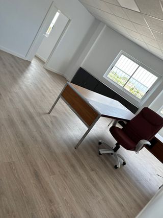 venta de tarima primeras marcas