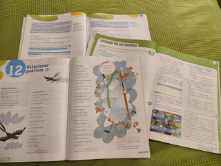 Libro Lengua 4 primaria Anaya como nuevo