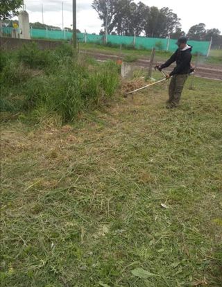 Jardinero economíco