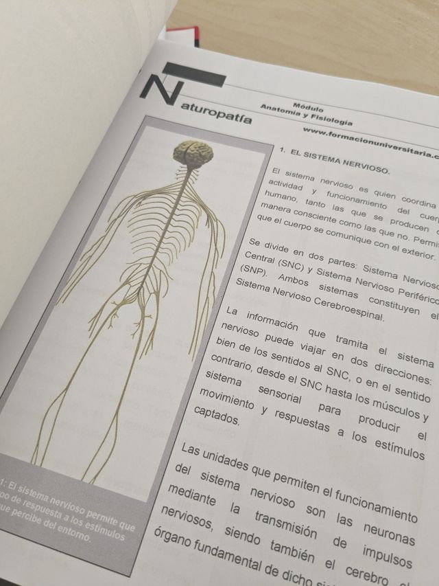 3 Carpesanos Naturopatía