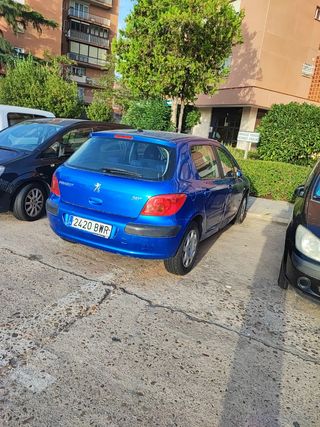 Peugeot 307 2002