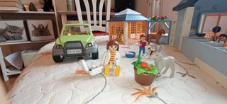 Clínica Veterinaria Playmobil y dos módulos más