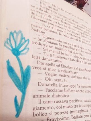 Libro di Resegotti -Una vacanza diversa